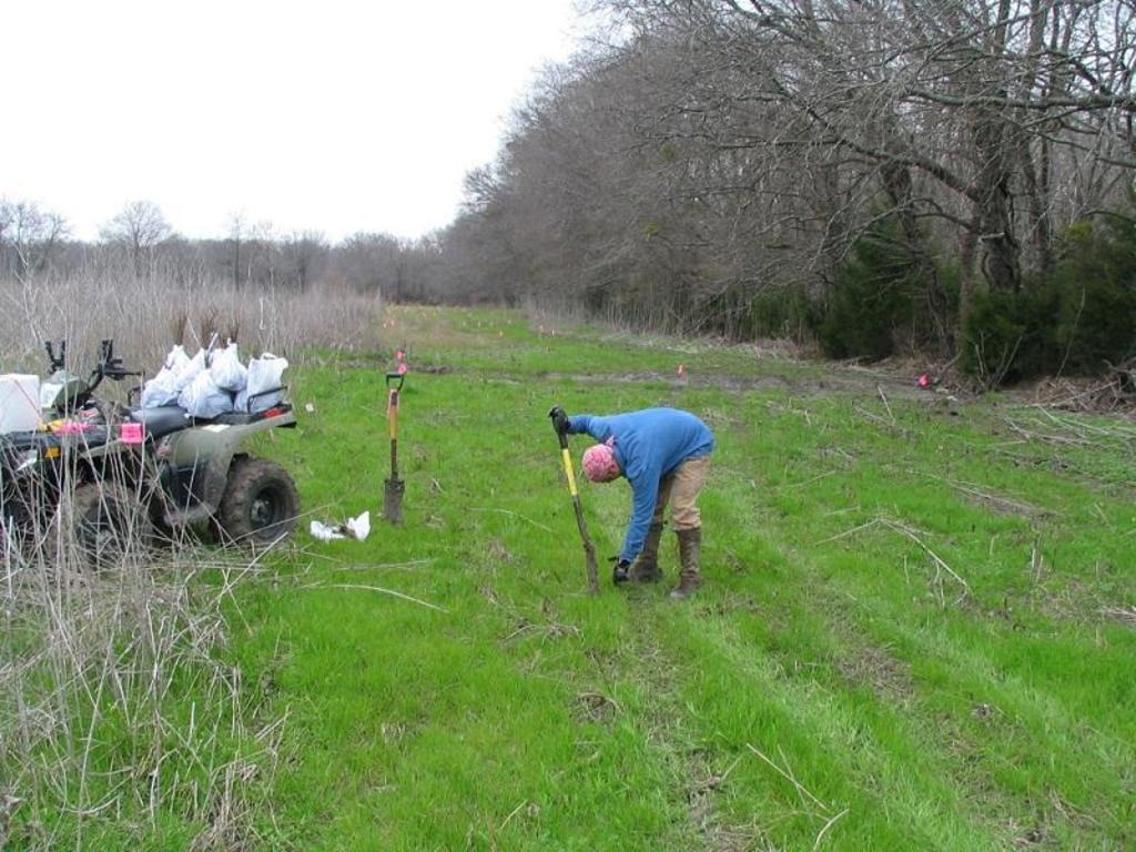 Riparian corridor planting