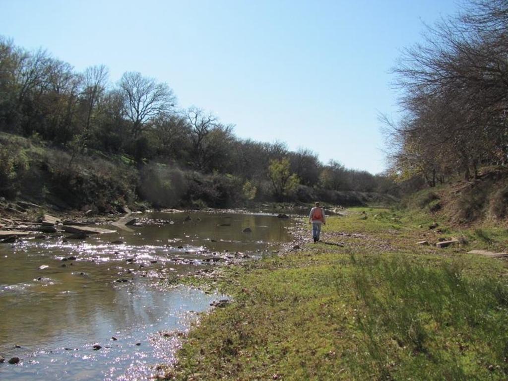 Compensatory mitigation in East Texas