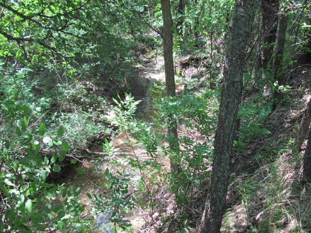 Jurisdictional limits west of Fort Worth